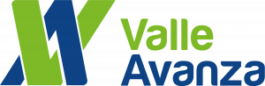 Logo Valle Avanza